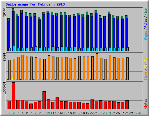 Daily usage for February 2013