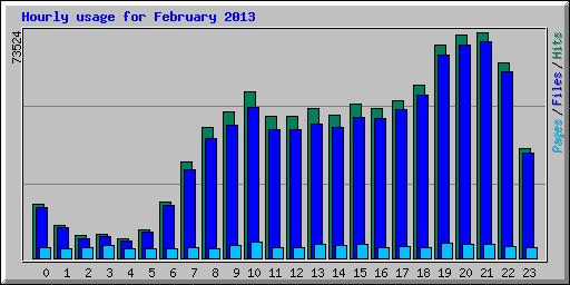 Hourly usage for February 2013