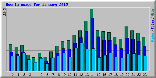Hourly usage for January 2015