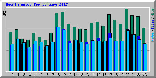 Hourly usage for January 2017