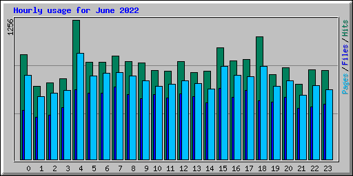 Hourly usage for June 2022