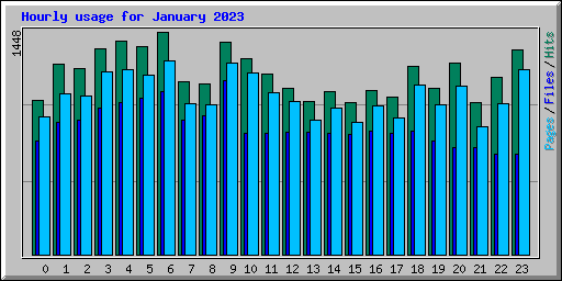 Hourly usage for January 2023