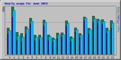Hourly usage for June 2023