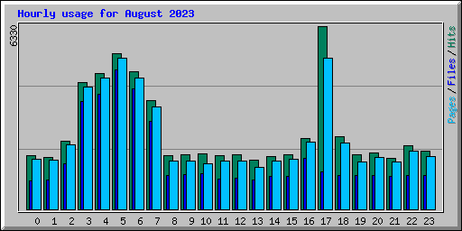 Hourly usage for August 2023