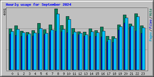 Hourly usage for September 2024