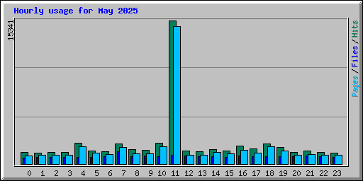 Hourly usage for May 2025