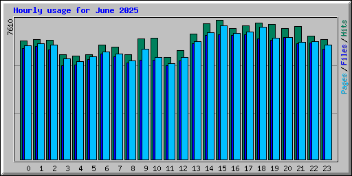 Hourly usage for June 2025