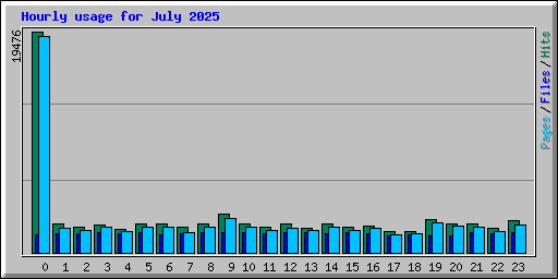 Hourly usage for July 2025