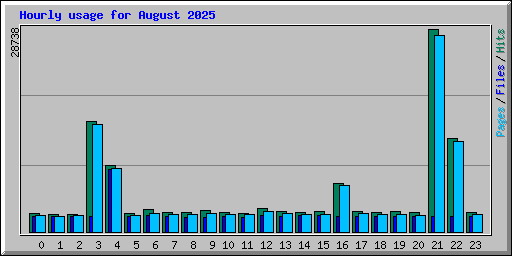 Hourly usage for August 2025