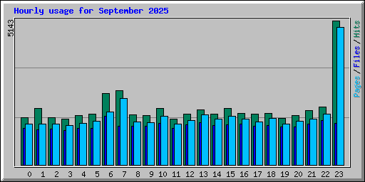 Hourly usage for September 2025