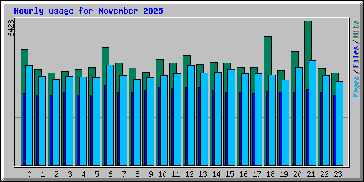 Hourly usage for November 2025