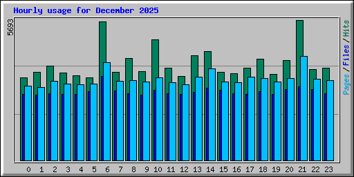 Hourly usage for December 2025
