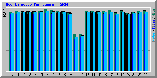 Hourly usage for January 2026