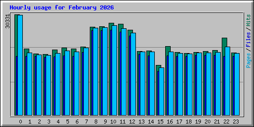 Hourly usage for February 2026